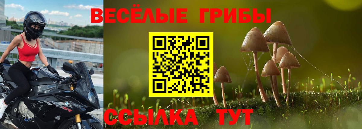 Глазов  Псилоцибиновые грибы мухоморы  Вход с VPN 